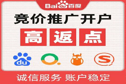 顶尖SEM竞价代运营公司案例分析